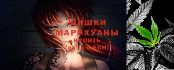 спиды Вяземский