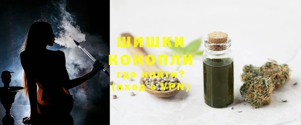 спиды Вяземский