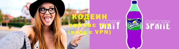 спиды Вяземский