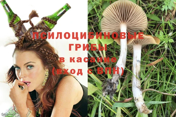прущая мука Вязьма