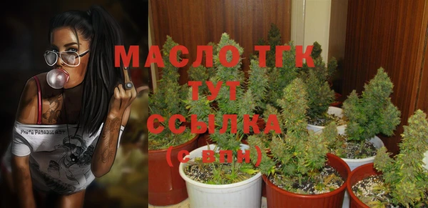 спиды Вяземский